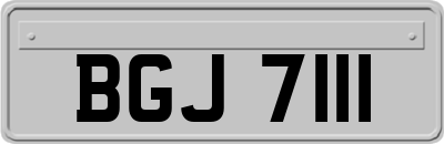 BGJ7111