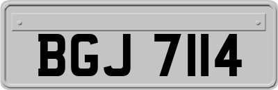 BGJ7114
