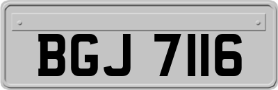 BGJ7116