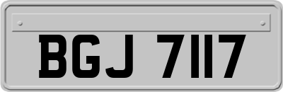 BGJ7117