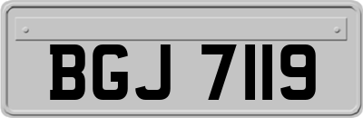 BGJ7119