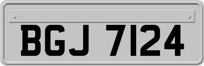 BGJ7124