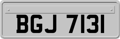 BGJ7131