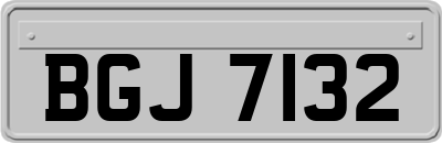 BGJ7132