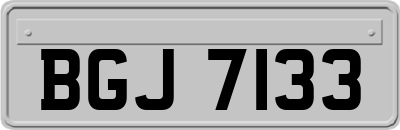 BGJ7133