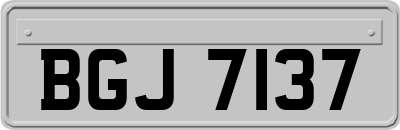 BGJ7137