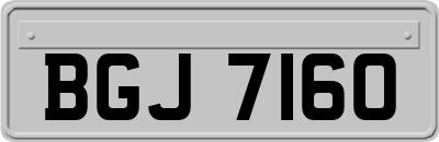 BGJ7160