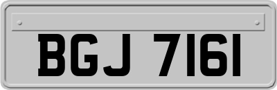 BGJ7161