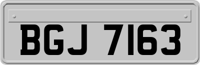 BGJ7163