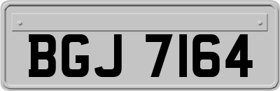 BGJ7164