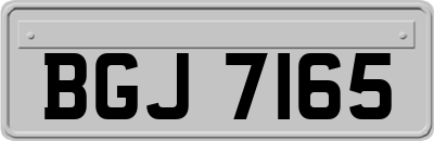 BGJ7165