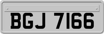 BGJ7166