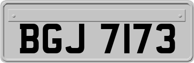 BGJ7173