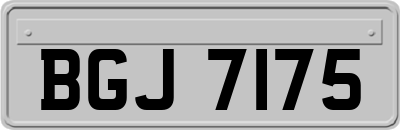 BGJ7175