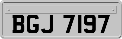 BGJ7197