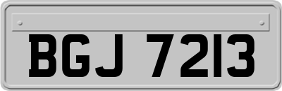 BGJ7213