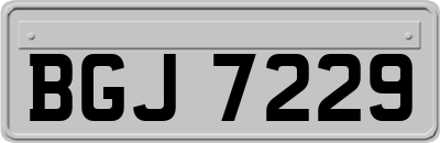 BGJ7229