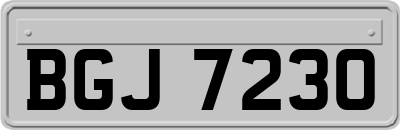 BGJ7230
