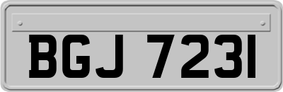 BGJ7231