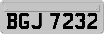 BGJ7232