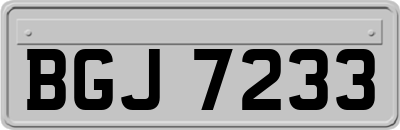 BGJ7233