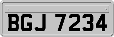 BGJ7234