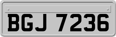 BGJ7236