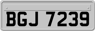 BGJ7239