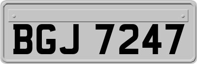 BGJ7247