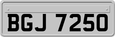 BGJ7250