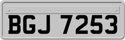 BGJ7253