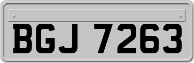 BGJ7263