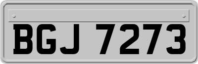 BGJ7273