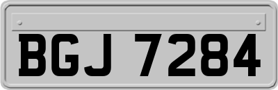 BGJ7284