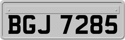 BGJ7285