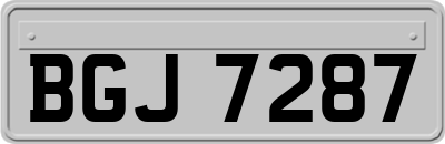 BGJ7287