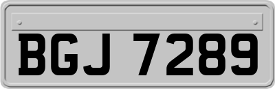 BGJ7289