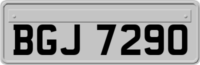 BGJ7290