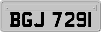 BGJ7291