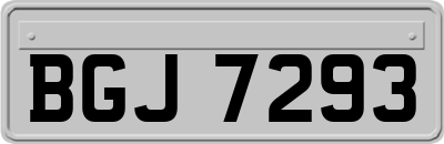 BGJ7293