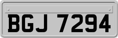 BGJ7294