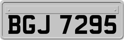 BGJ7295