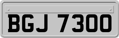 BGJ7300