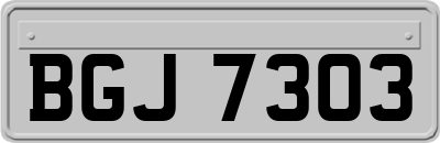 BGJ7303