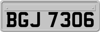 BGJ7306