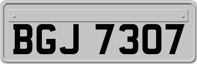 BGJ7307