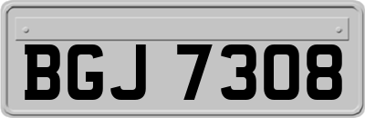 BGJ7308