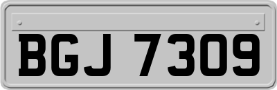 BGJ7309