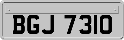 BGJ7310