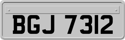 BGJ7312